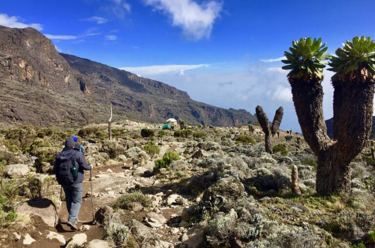 machame-route